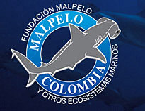 Fondation Malpelo