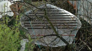 G.BARTHOLOME DEBUT DE POLLEN