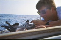 GUY BARTHOLOME Croisière éolienne