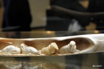 Exposition les pôles,sculpture de morses oeuvre des Inuit @A.Cassim