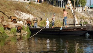 Eau environnement sur la Loire @A.Cassim