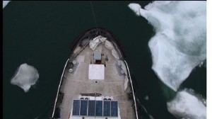 Le Manguier dans les glaces
