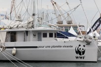 Colombus pour WWWF ©GGeronimi