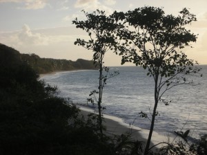 GUADELOUPE @A.Cassim