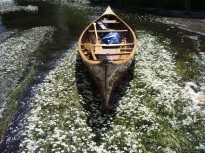 7ème rassemblement de canoës en bois sur l'Orne @D.Josse