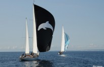 Juris'Cup Spi évocateur de la protection des océans @A.Cassim (NDL)