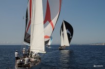 Les voiliers sous spi pour de beaux tableaux sur l'eau @A.Cassim (NLD)