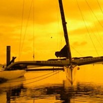 Banque Populaire-V à Lorient @Ronan Audic