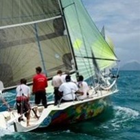 COMBAT DE COQUES 2012