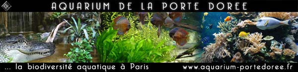 Aquarium Porte Doree