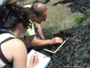 Nausicaa Fete Nature2013