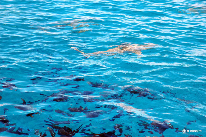 Les eaux polynésiennes, photo A.Cassim