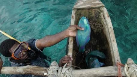 ilessentinelles3_006