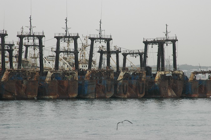 Bateaux de pêche photo ACassim