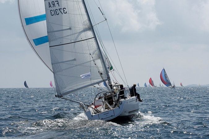 D Cat Mania photo S.Huet