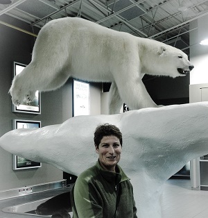 Ours expo -Anne Quéméré