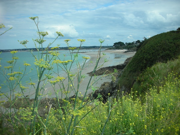 Littoral Bretagne Photo A.Cassim