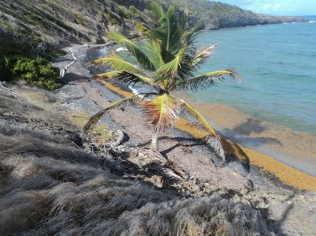Océan  Atlantique + littoral Photo AC