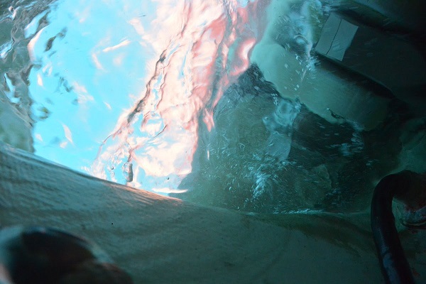 avarie-kito-de-pavant