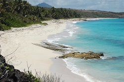 Grosses Roches , plage Martinique